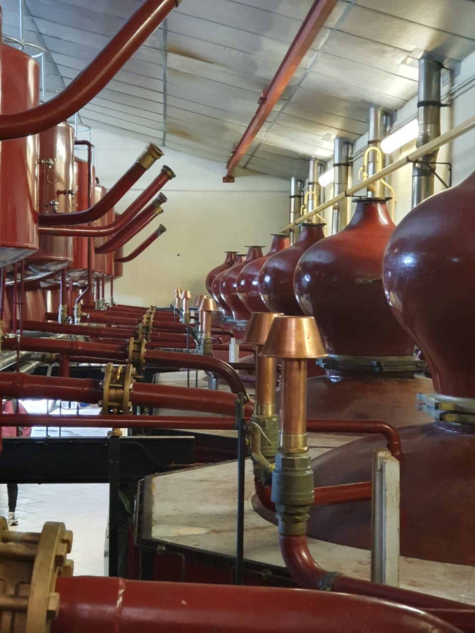nettoyage de matériel viticole à Cognac et Charente nettoyage de matériel viticole à Cognac et Charente